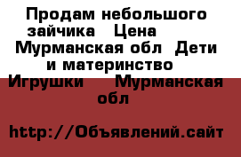 Продам небольшого зайчика › Цена ­ 300 - Мурманская обл. Дети и материнство » Игрушки   . Мурманская обл.